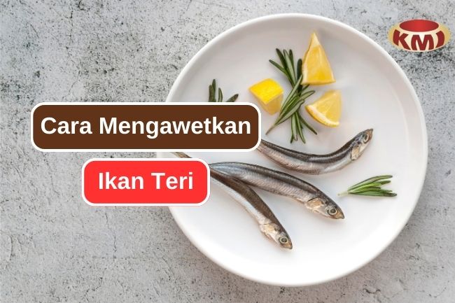 Teknik Populer yang Digunakan untuk Mengawetkan Ikan Teri